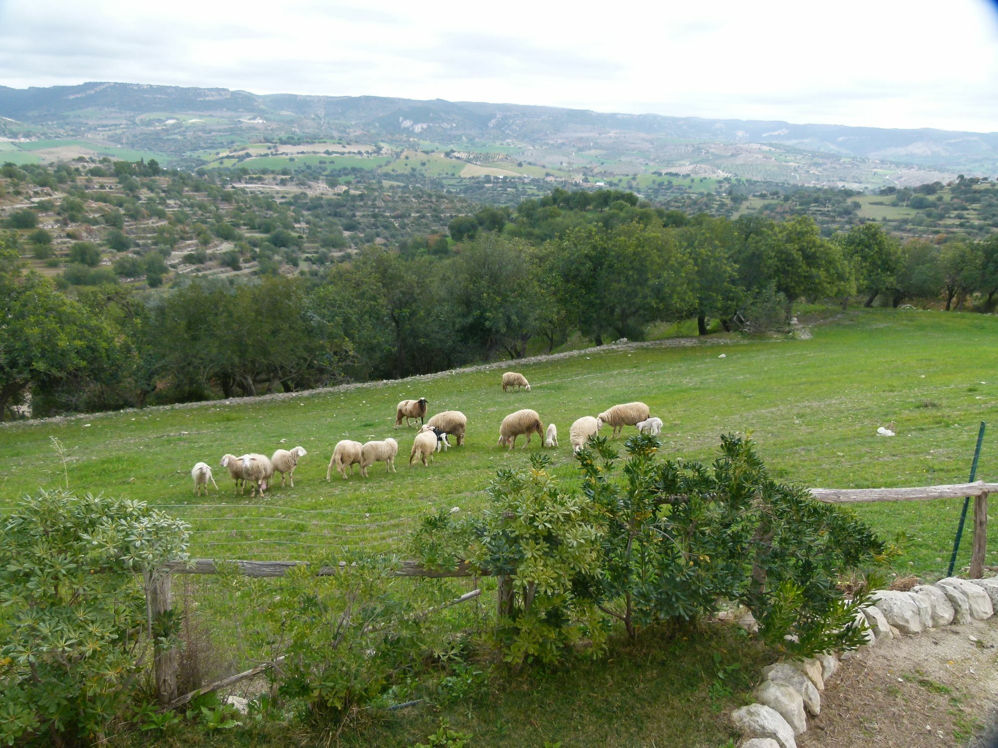 Agriturismo Villa Gaia Modica Extérieur photo